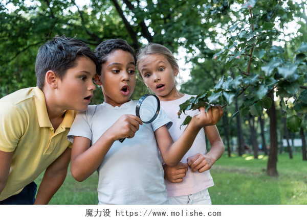 手拿放大镜观察的一群孩子通过放大镜看到绿叶的多文化孩子们震惊了 